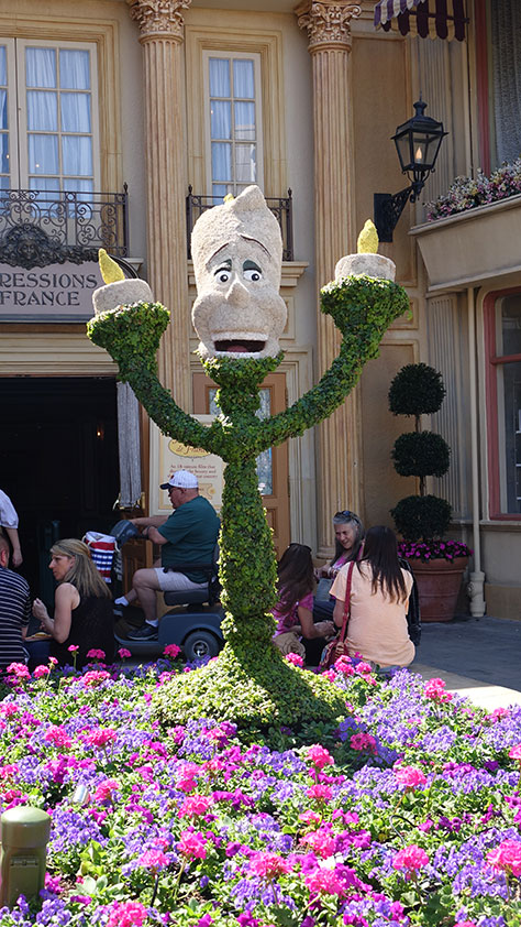 Epcot Flower and Garden Festival topiaries 2016 (49)
