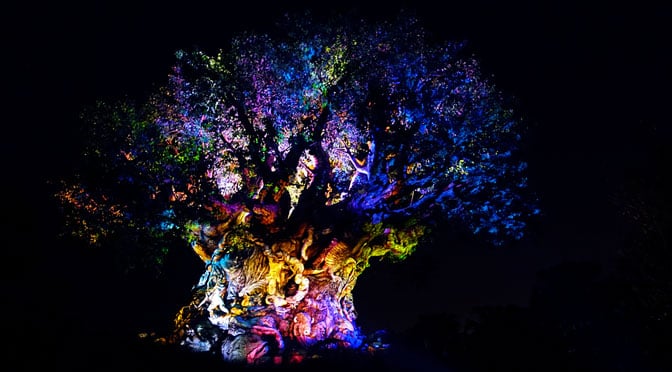 tree of life awakenings at Disney's Animal Kingdom