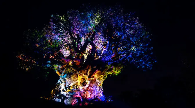 tree of life awakenings at Disney's Animal Kingdom