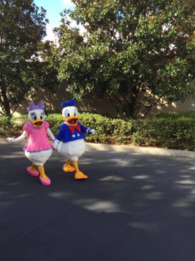 Daisy and Donald at Hollywood Studios Alanaexplains (3)