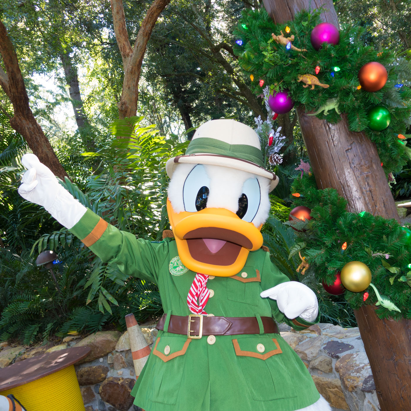 Donald Duck in Christmas attire at Disney's Animal Kingdom