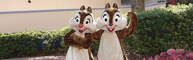 Chip n Dale Hollywood Studios meet and greet KennythePirate