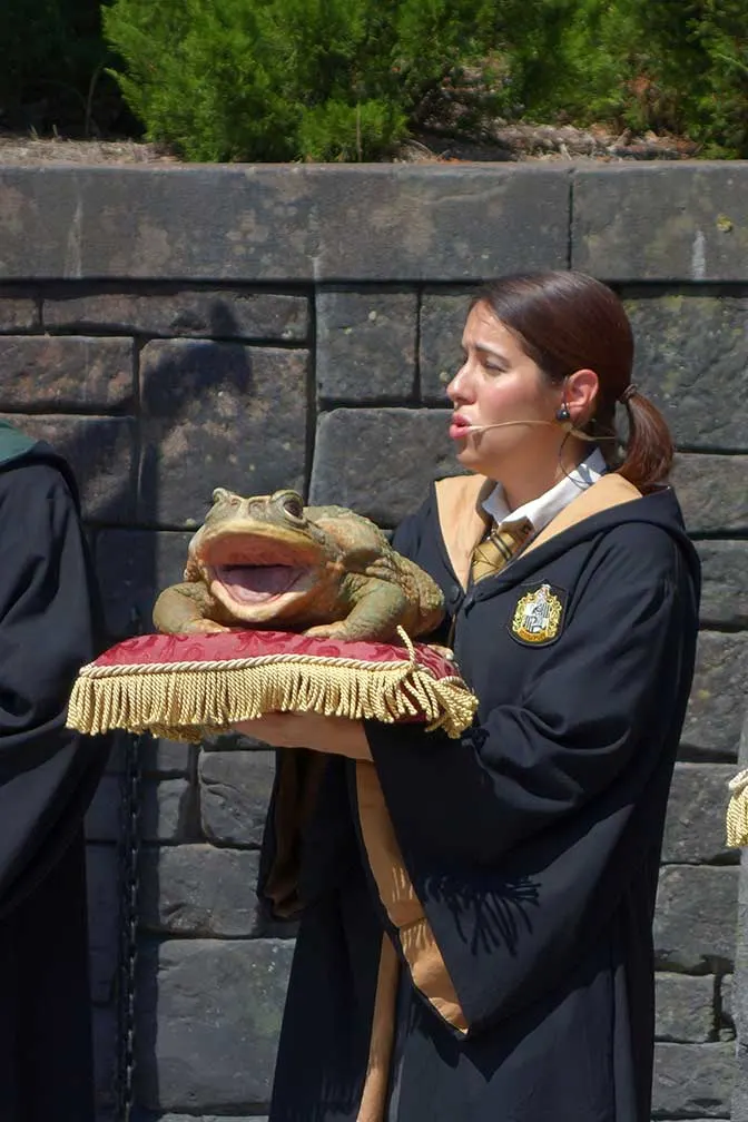 Harry Potter Frog Choir at Universal Islands of Adventure 2012