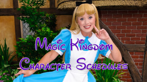 Magic Kingdom Characters