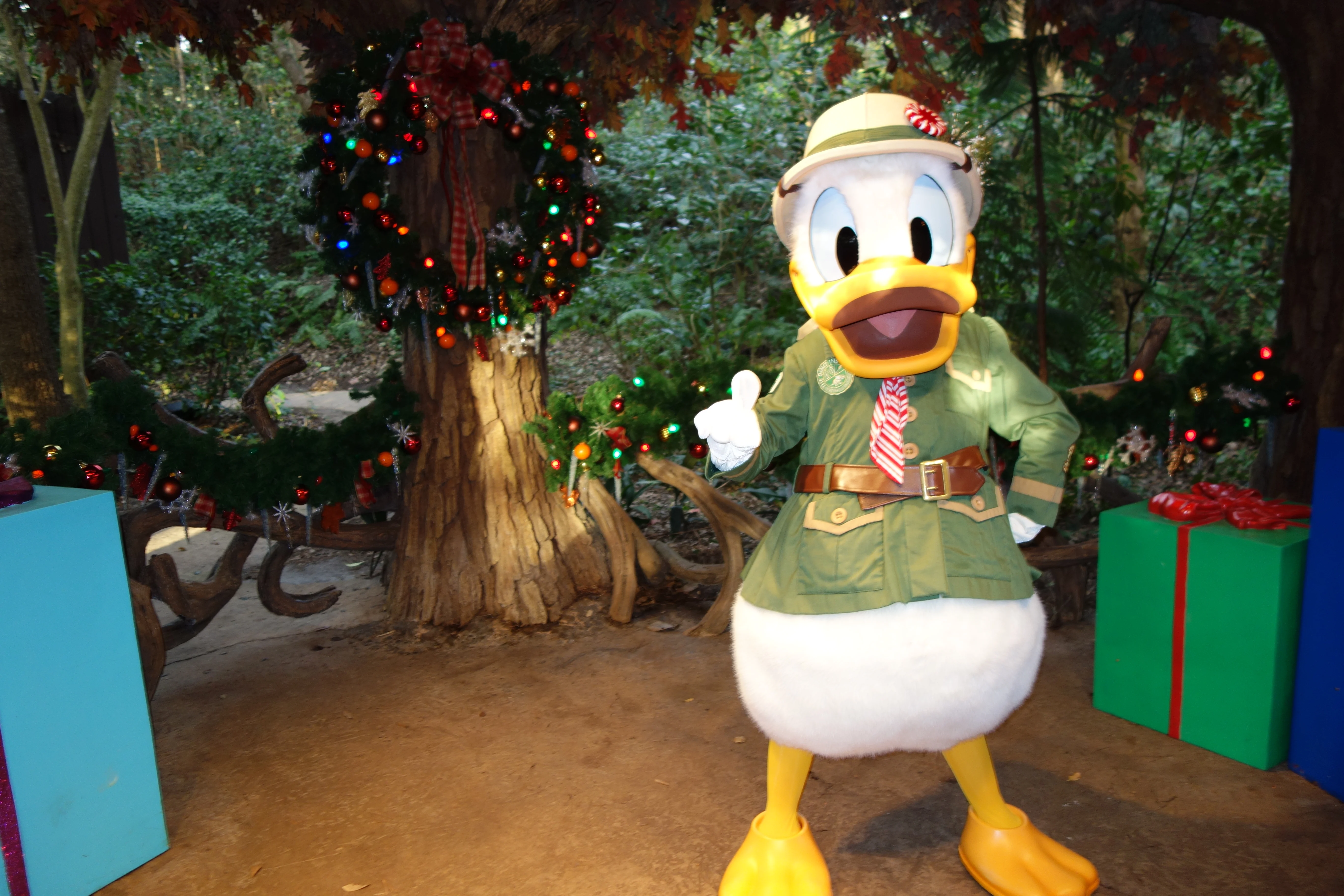 Donald Duck Animal Kingdom 2012
