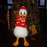 Donald Dec 2012 xmas resort akl (7)
