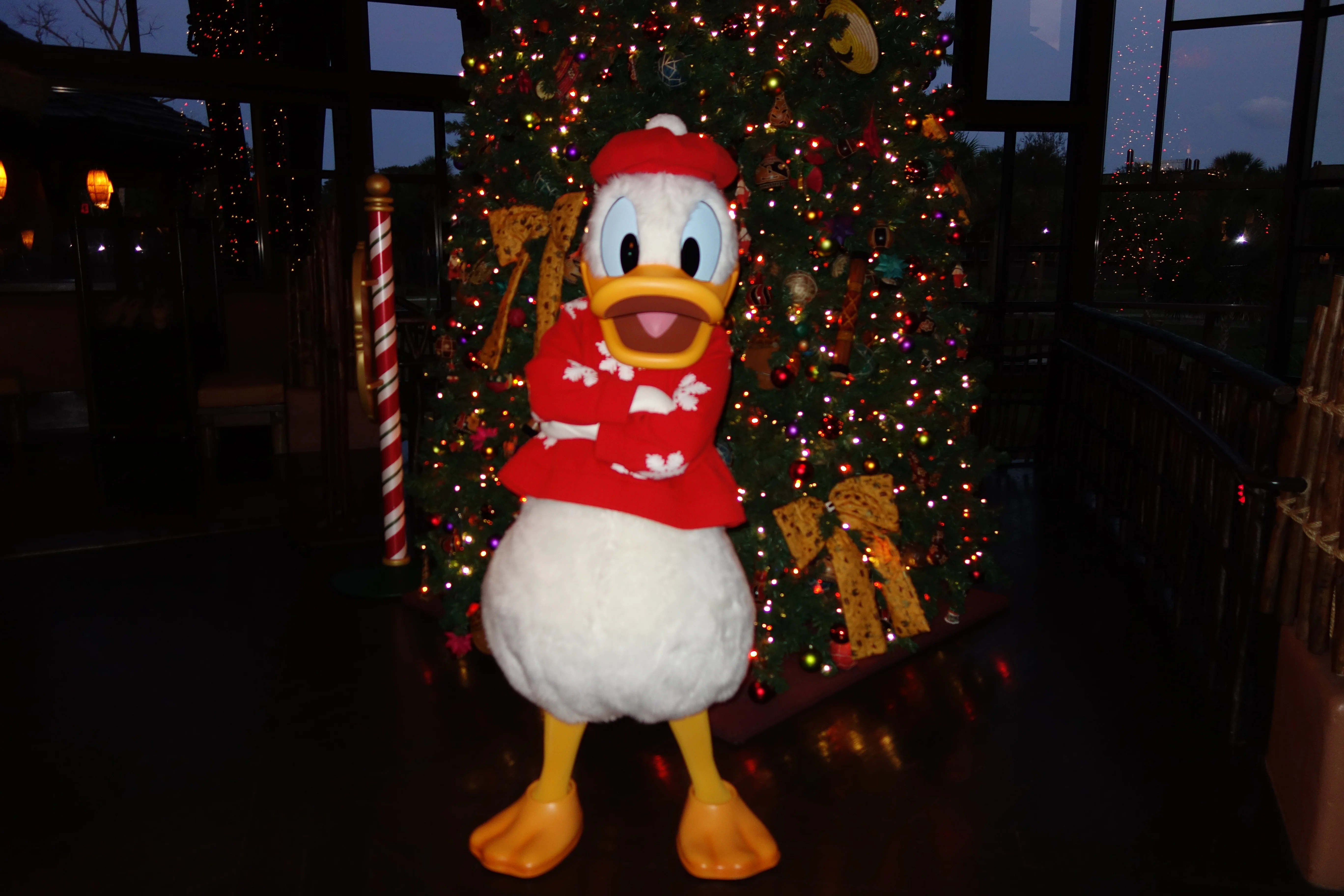 Donald Dec 2012 xmas resort akl (7)