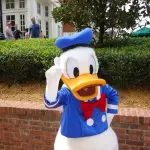 Donald EP 2012 (1)