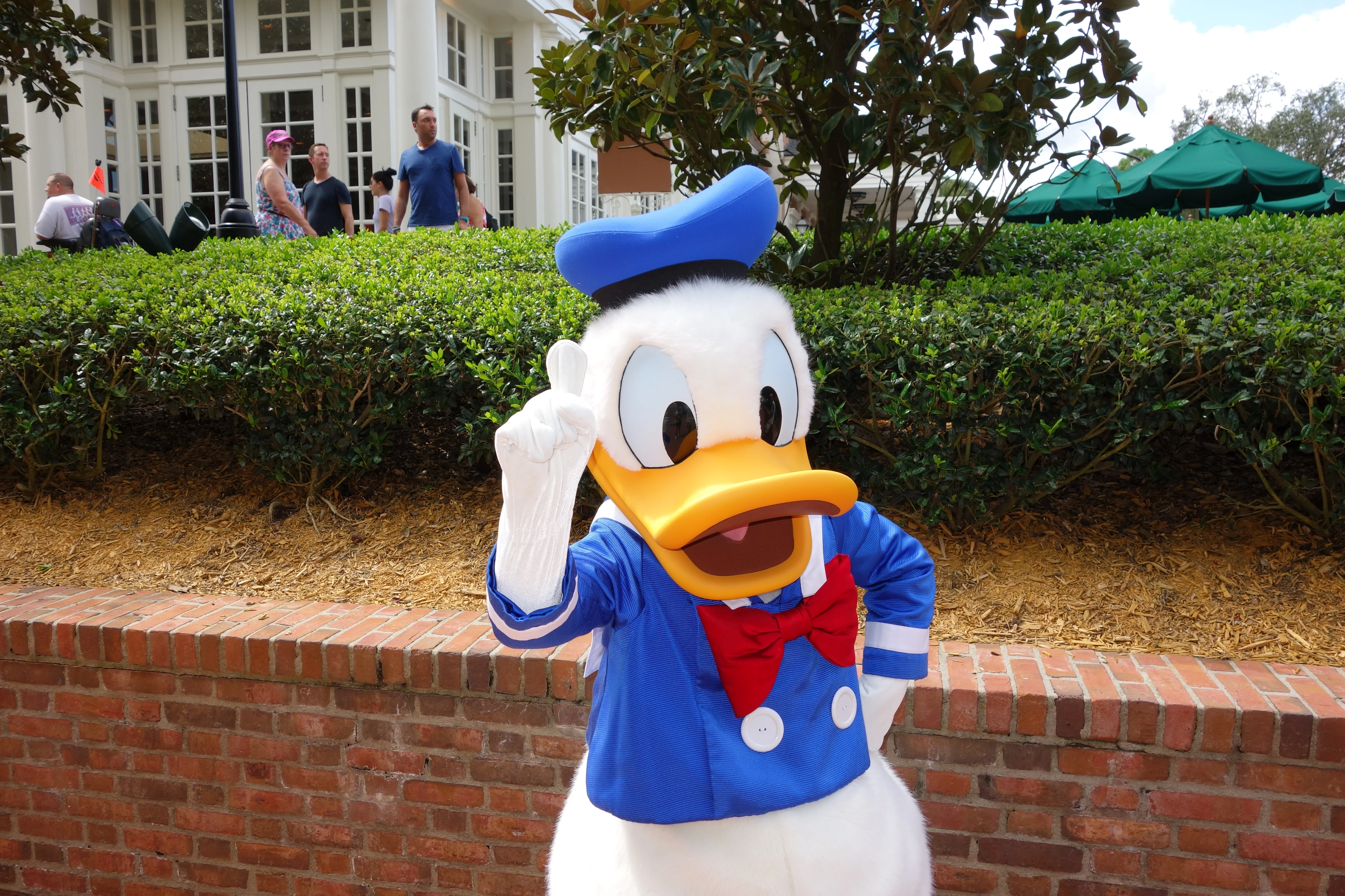 Donald EP 2012 (1)