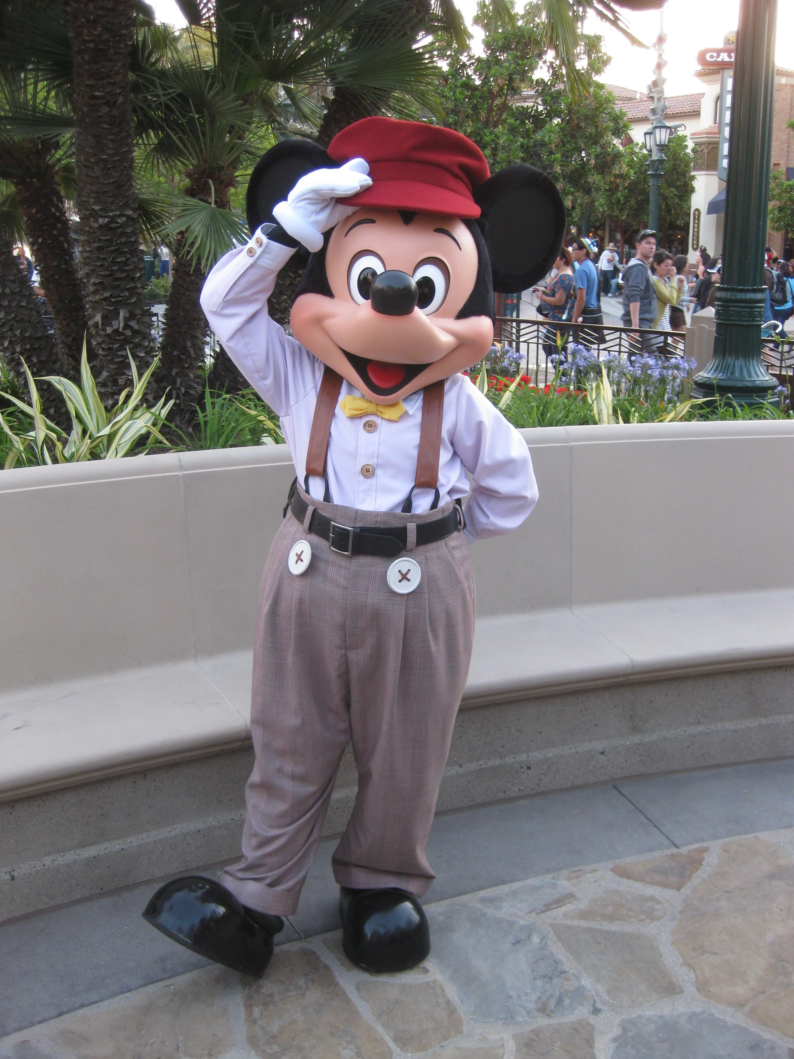 Mickey 2012 DCA