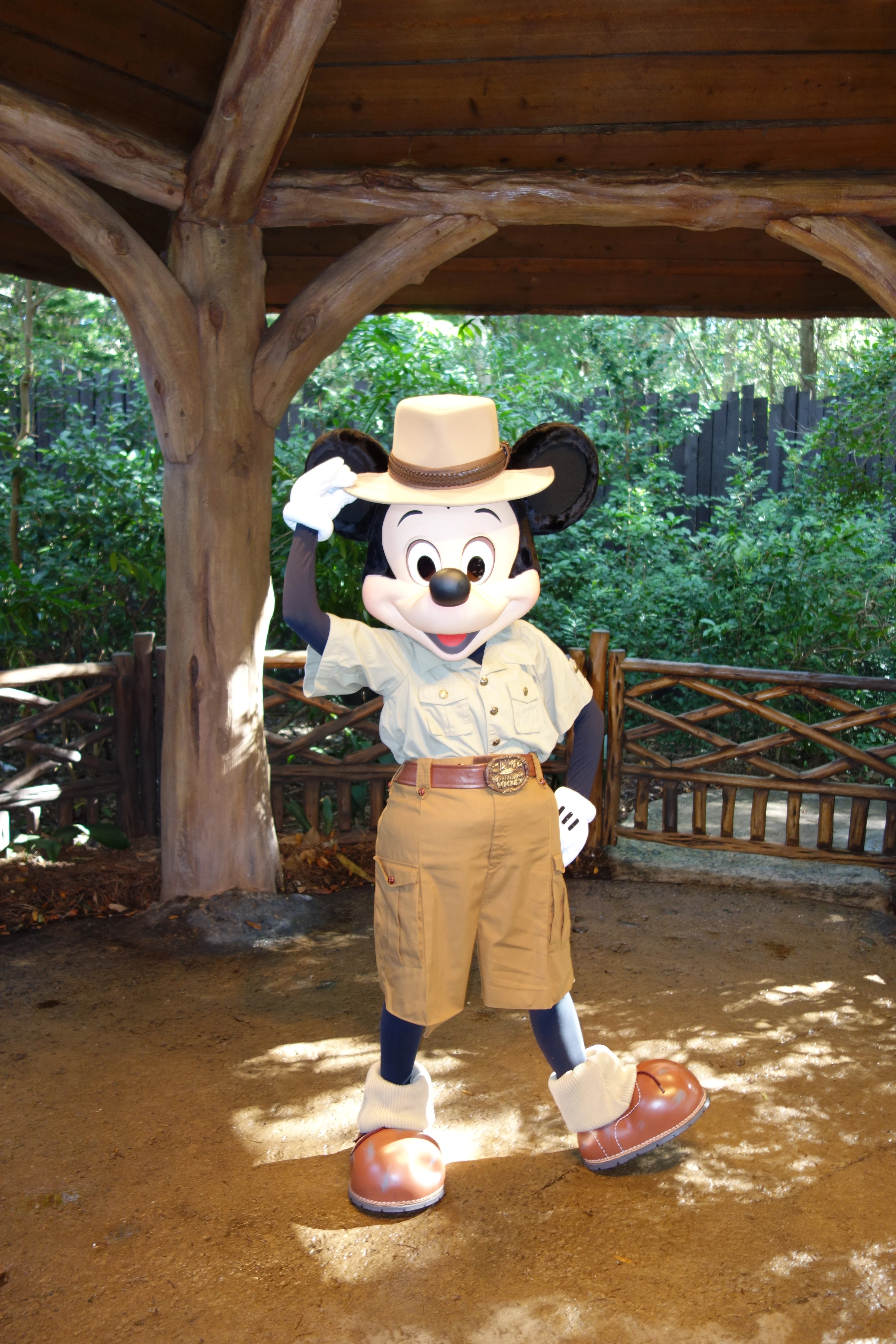 Mickey Mouse in Animal Kingdom 2012