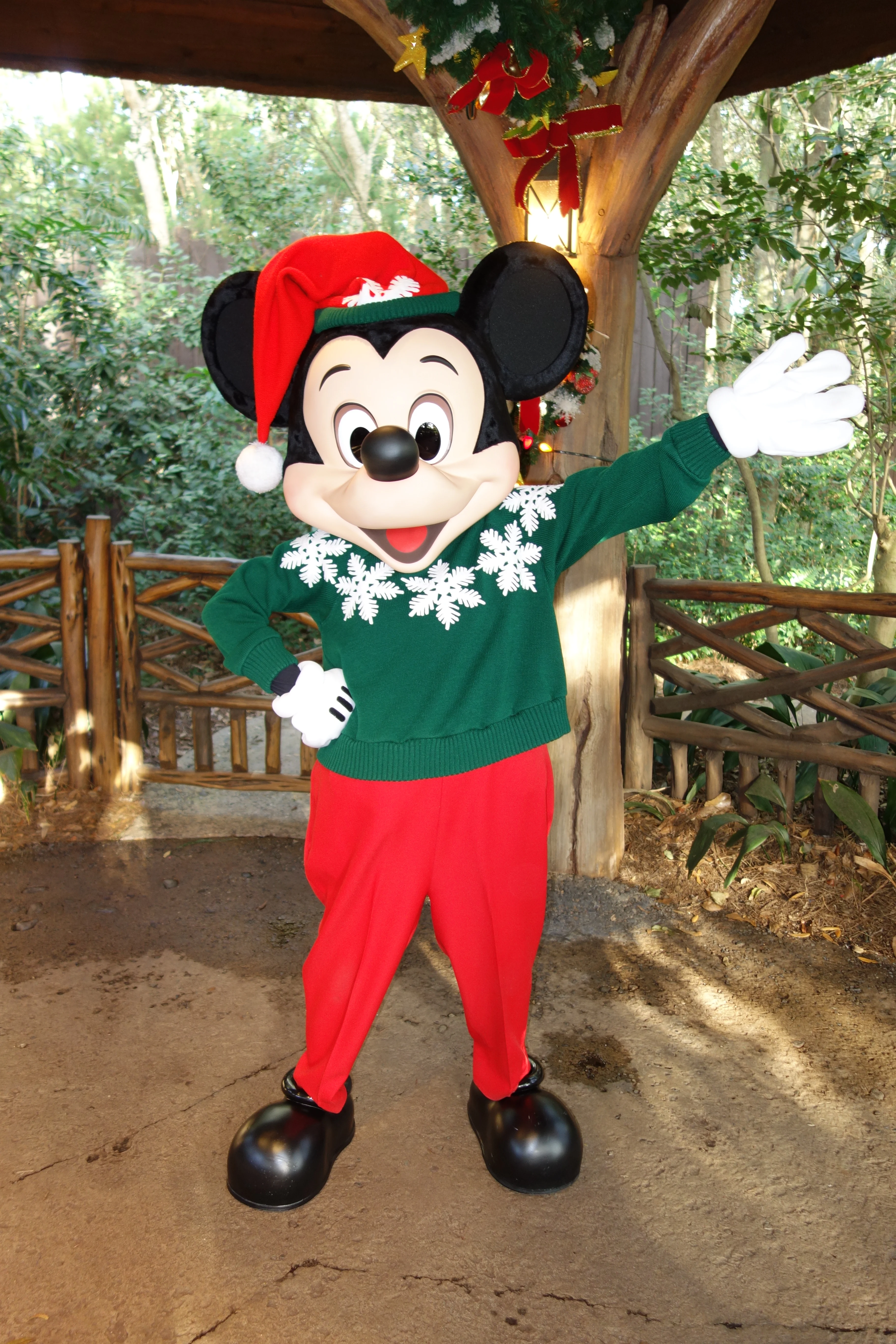 Mickey Mouse in Animal Kingdom 2012