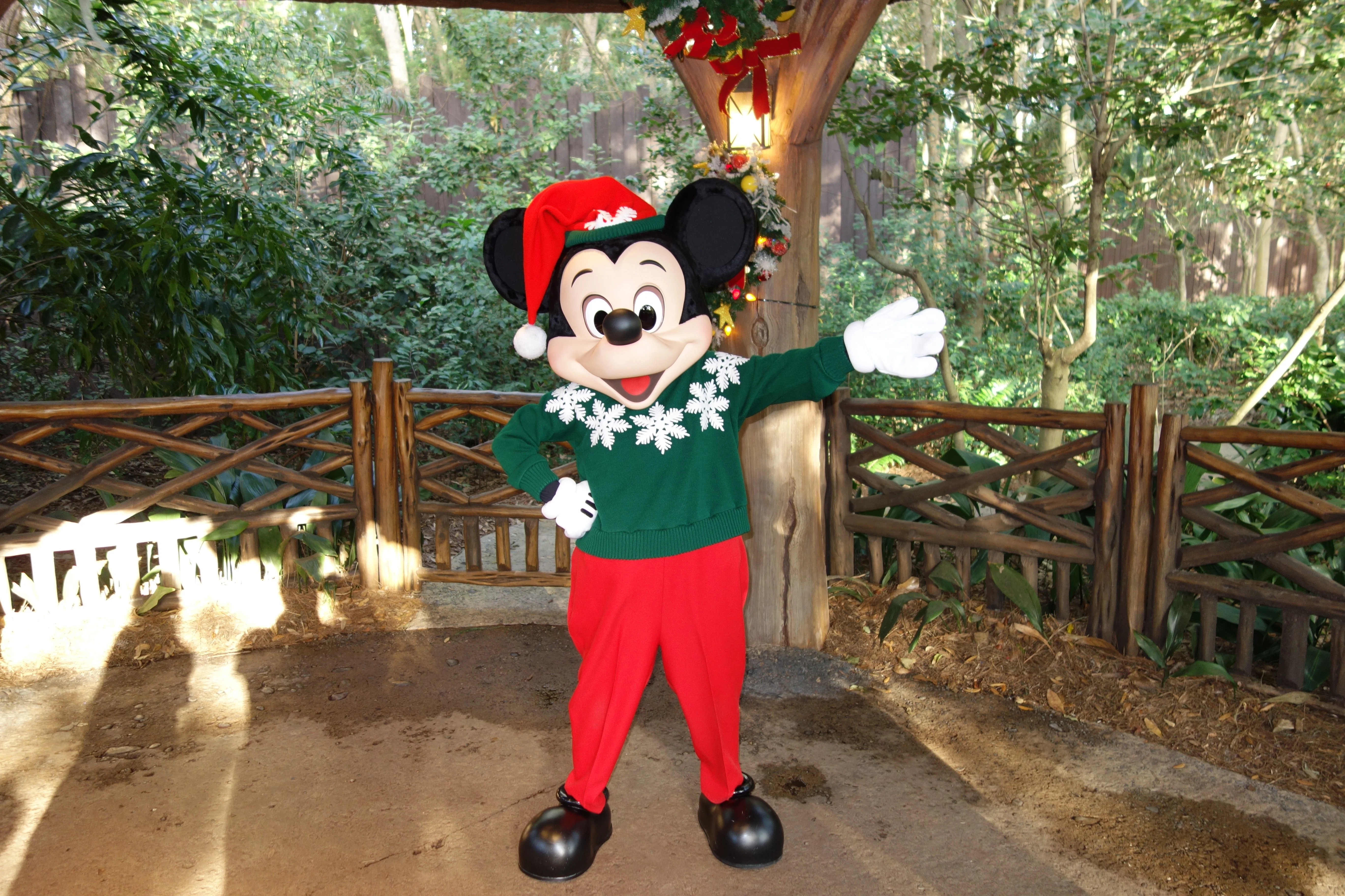 Mickey Mouse in Animal Kingdom 2012