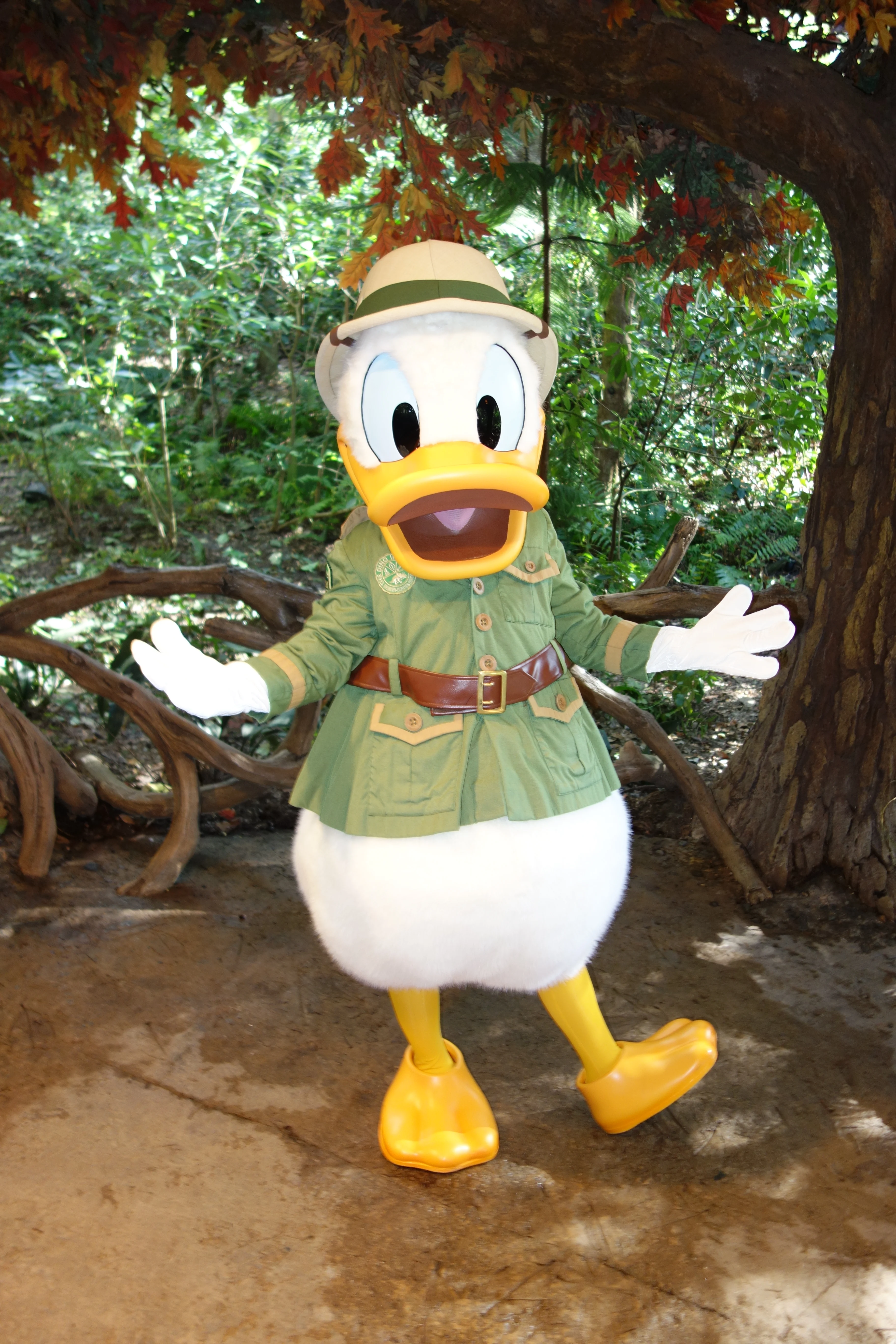 Donald Duck Animal Kingdom 2012