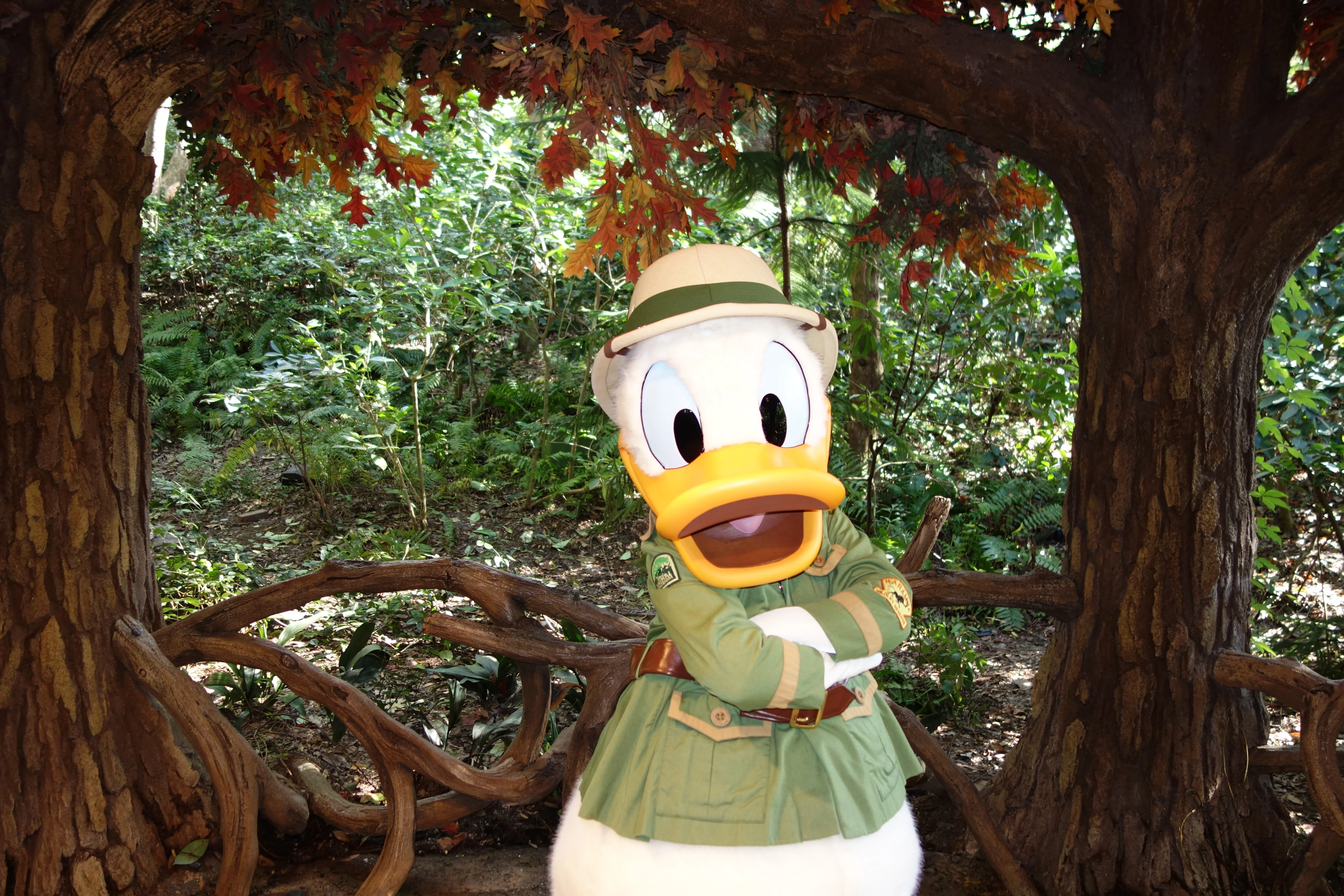 Donald Duck Animal Kingdom 2012