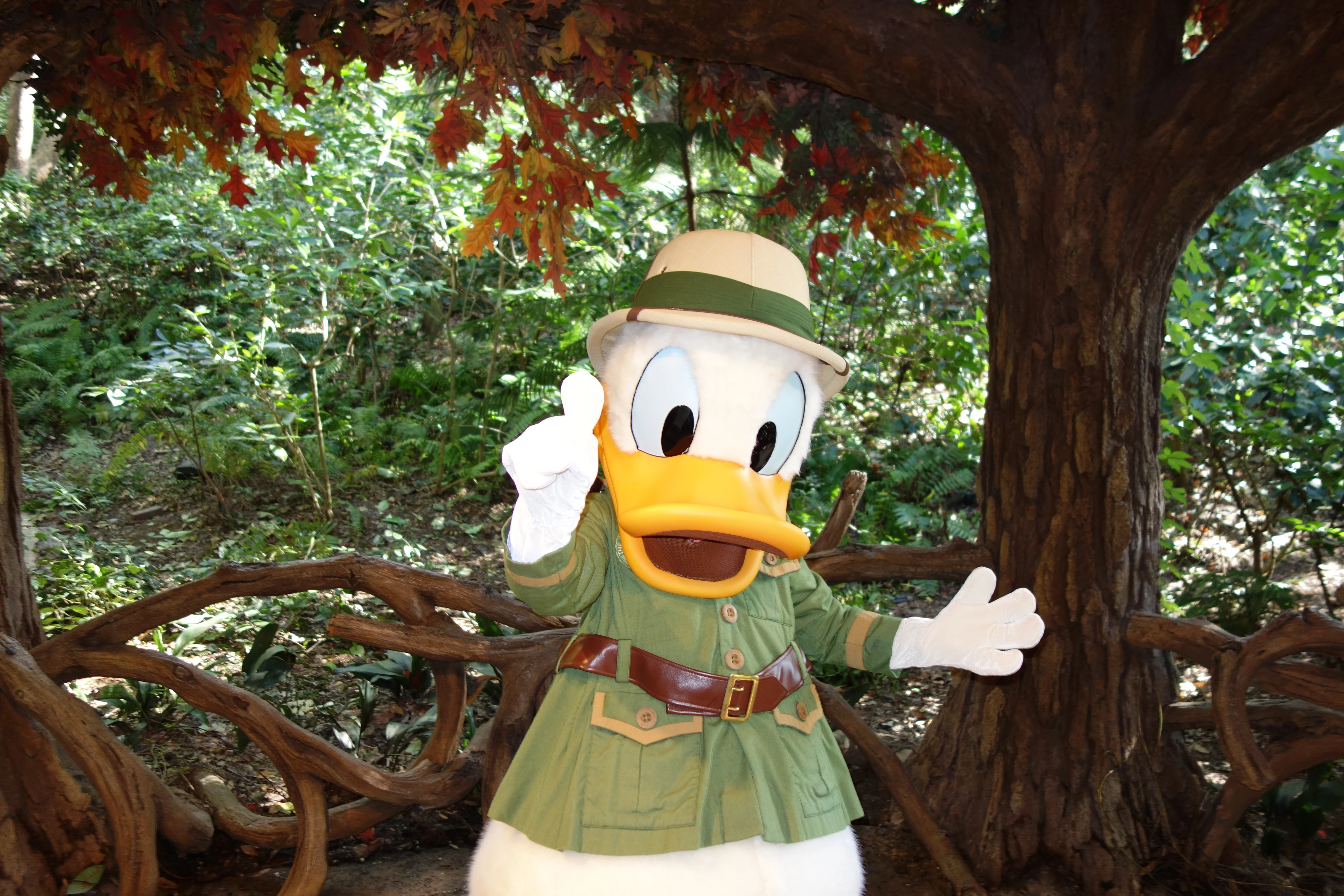Donald Duck Animal Kingdom 2012