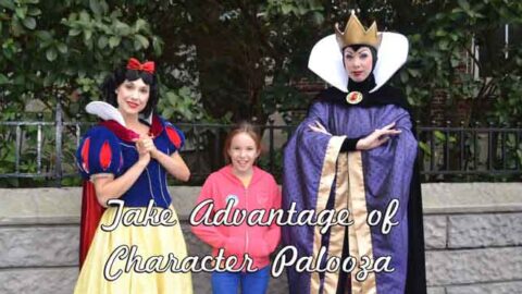 Character Palooza in Hollywood Studios