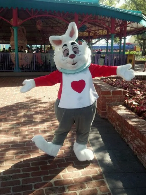 Walt Disney World, Magic Kingdom Characters, Fantasyland, White Rabbit