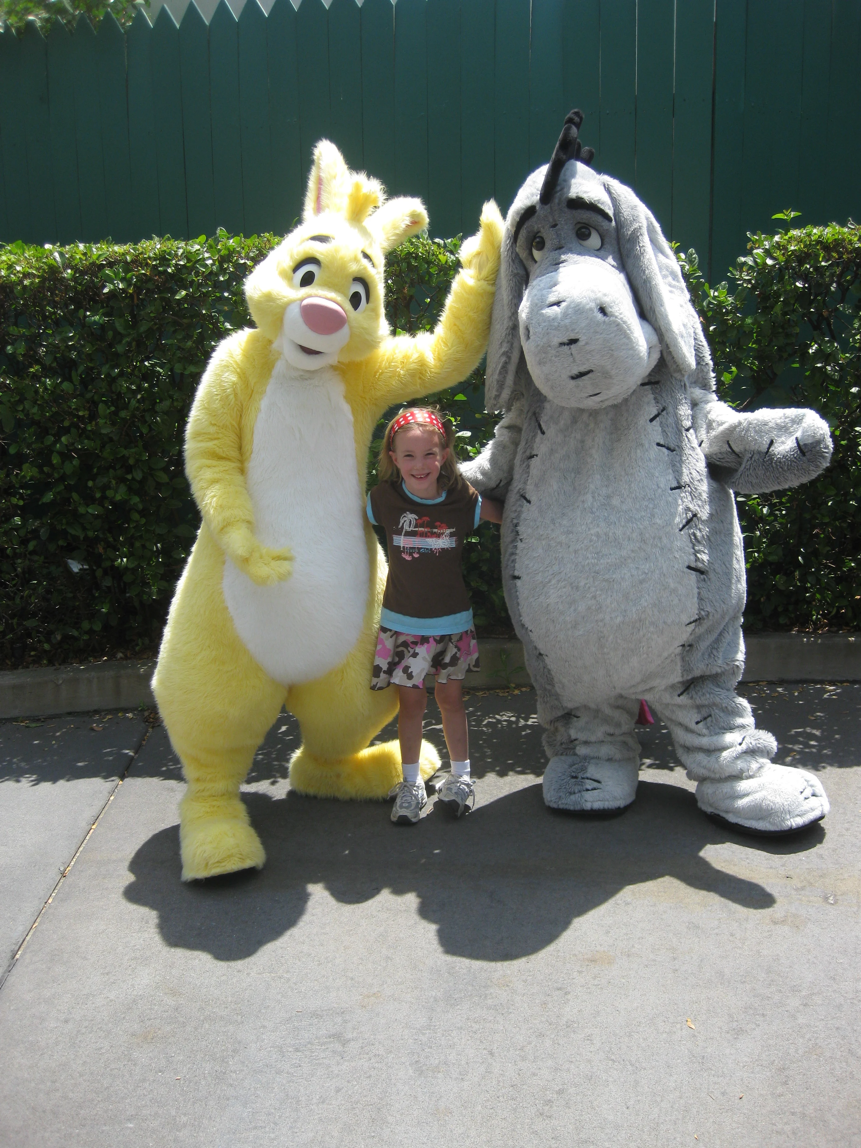 Yellow Rabbit & Eeyore2010