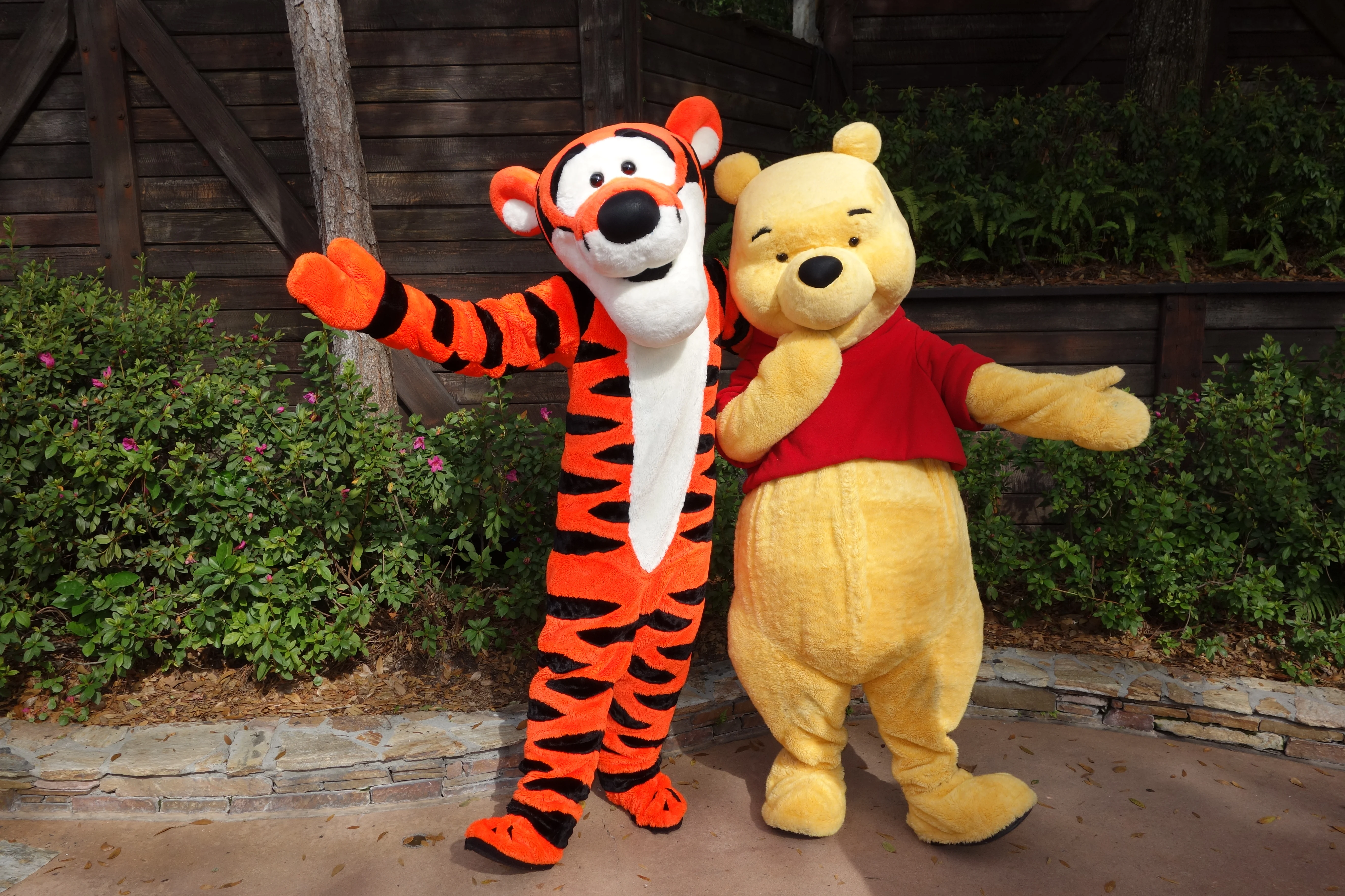 Tigger and Pooh Magic Kingdom 2013