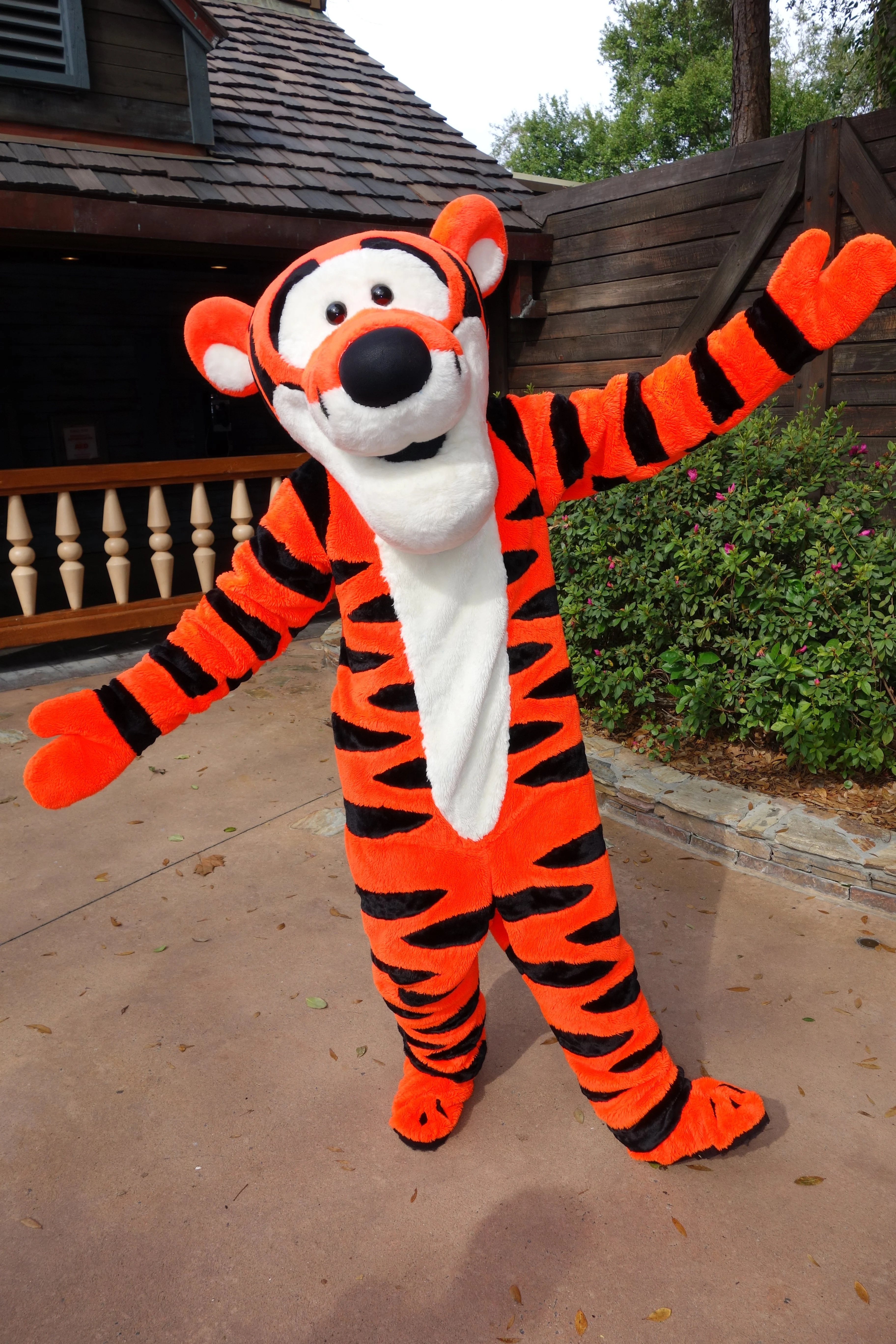 Tigger Magic Kingdom 2013