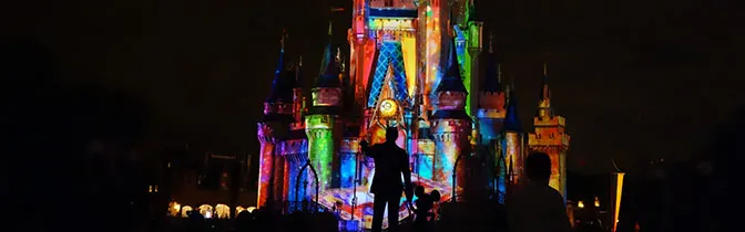 Celebrate the Magic at Magic Kingdom