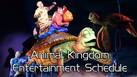 Animal Kingdom Entertainment