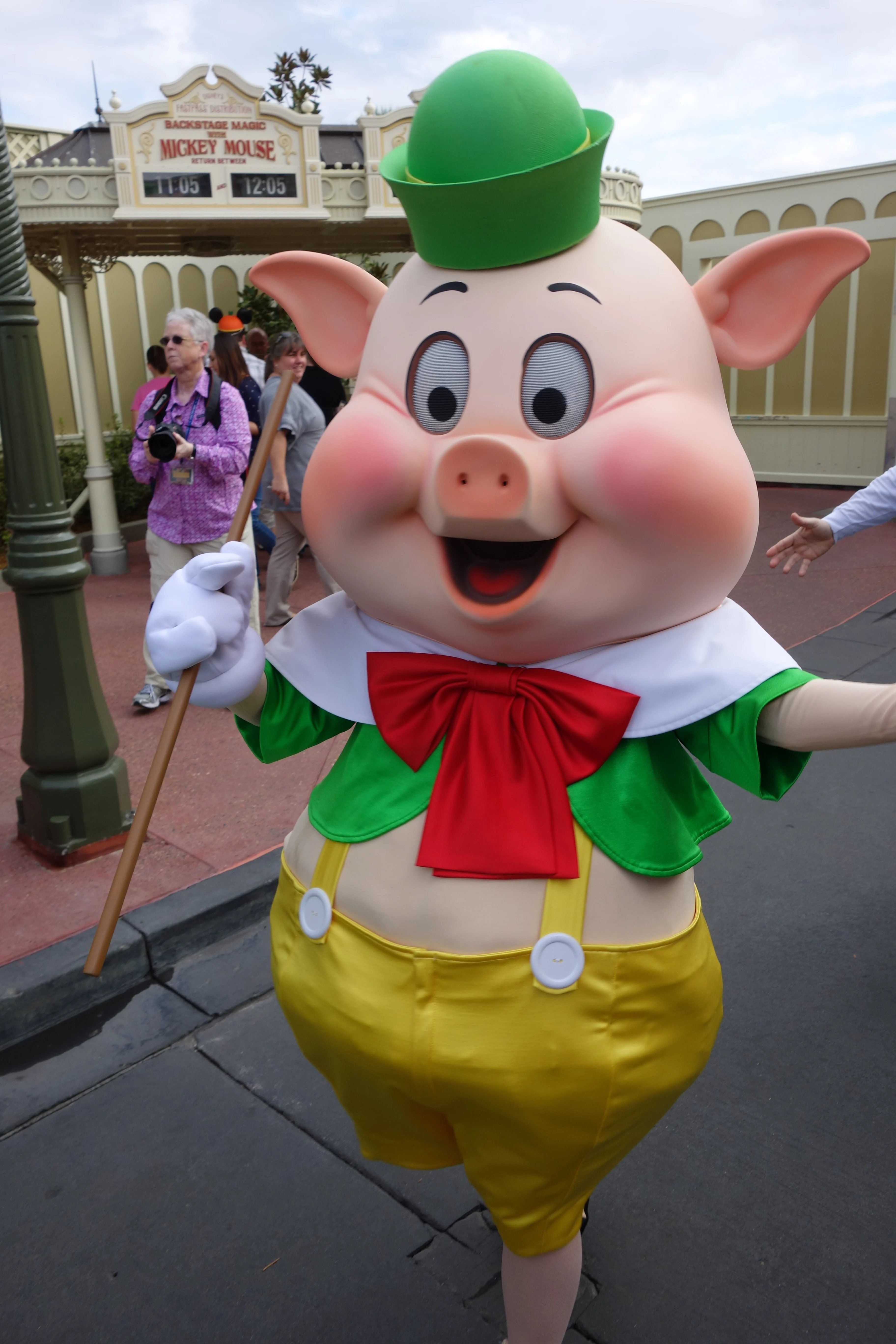 Fifer Pig