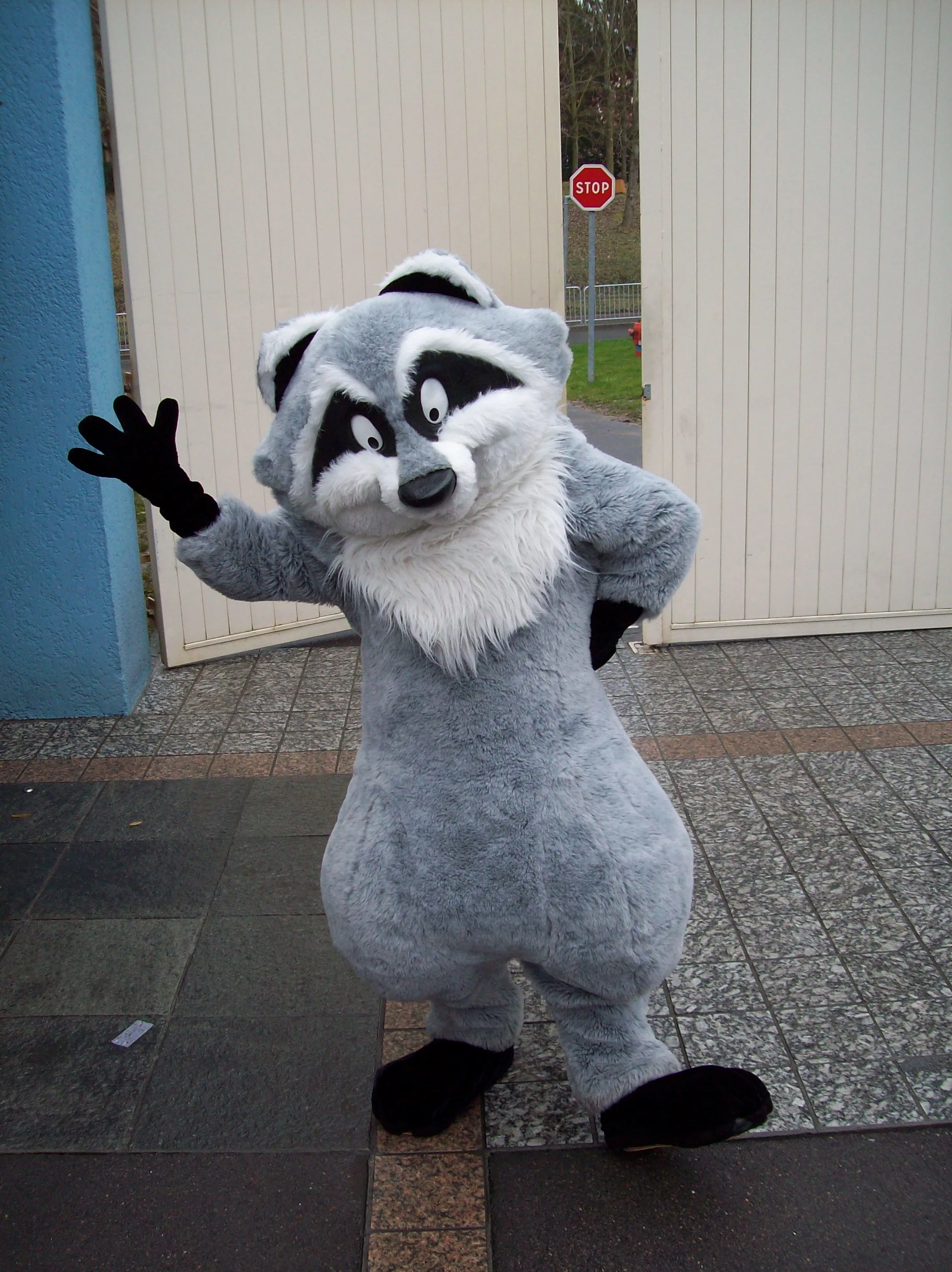 Meeko as he appears at Disneyland Paris