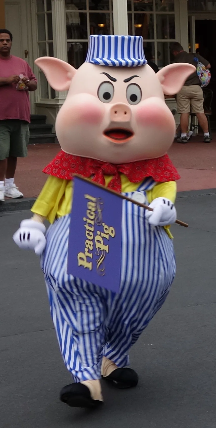 practical pig