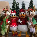 Winter Wonderland Chip Dale Daisy Donald (3)