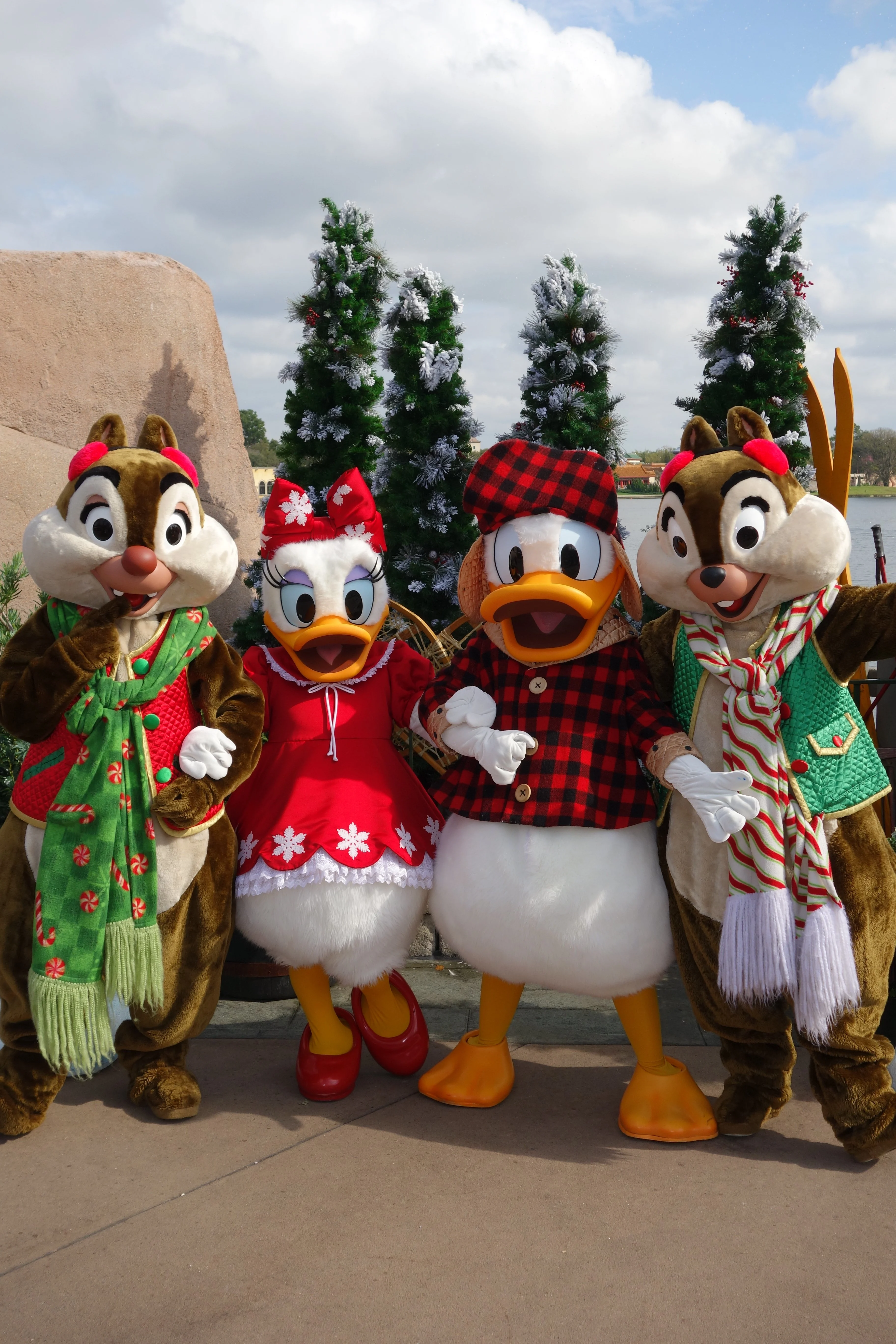 Winter Wonderland Chip Dale Daisy Donald (3)