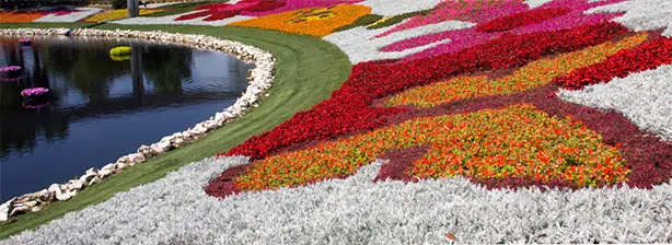epcot flower and garden festival