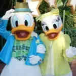 daisy and donald facebook (2)
