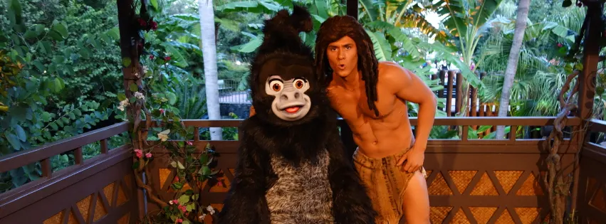 tarzan and terk facebook