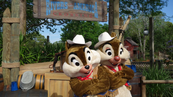 Cowboy Chip n Dale Frontierland Magic Kingdom 2013