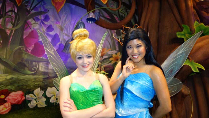 Updates on Anna and Elsa, what’s going on with Tink and Friends and special character meets