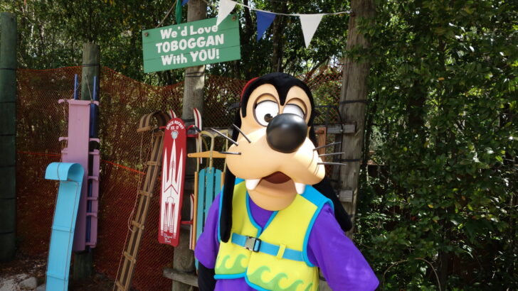 Meeting characters at Blizzard Beach and Typhoon Lagoon