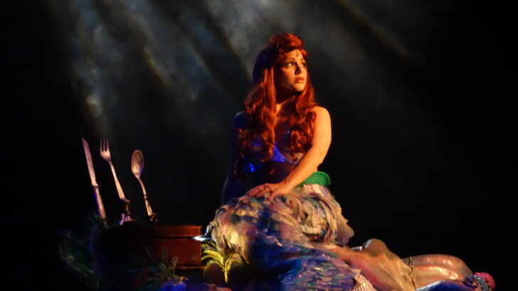 Voyage of the Little Mermaid