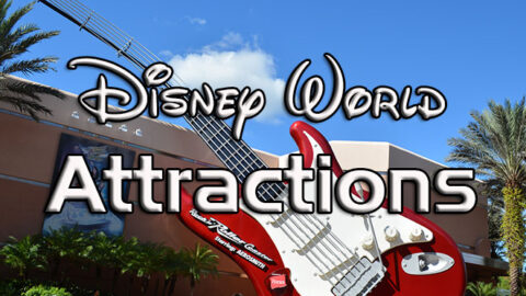 Disney World Attractions