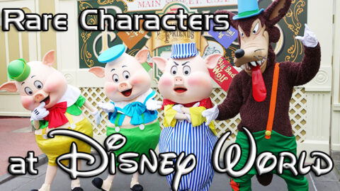 Rare Characters at Disney World