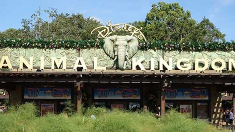 Animal Kingdom Fastpass+ Kiosk moving due to more construction walls