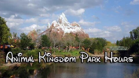 Disney’s Animal Kingdom finally updates park hours!