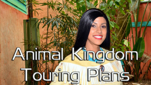 Animal Kingdom Touring Plans