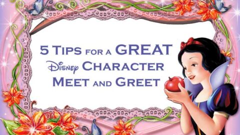 5 Tips for a Great Disney Character Meet and Greet