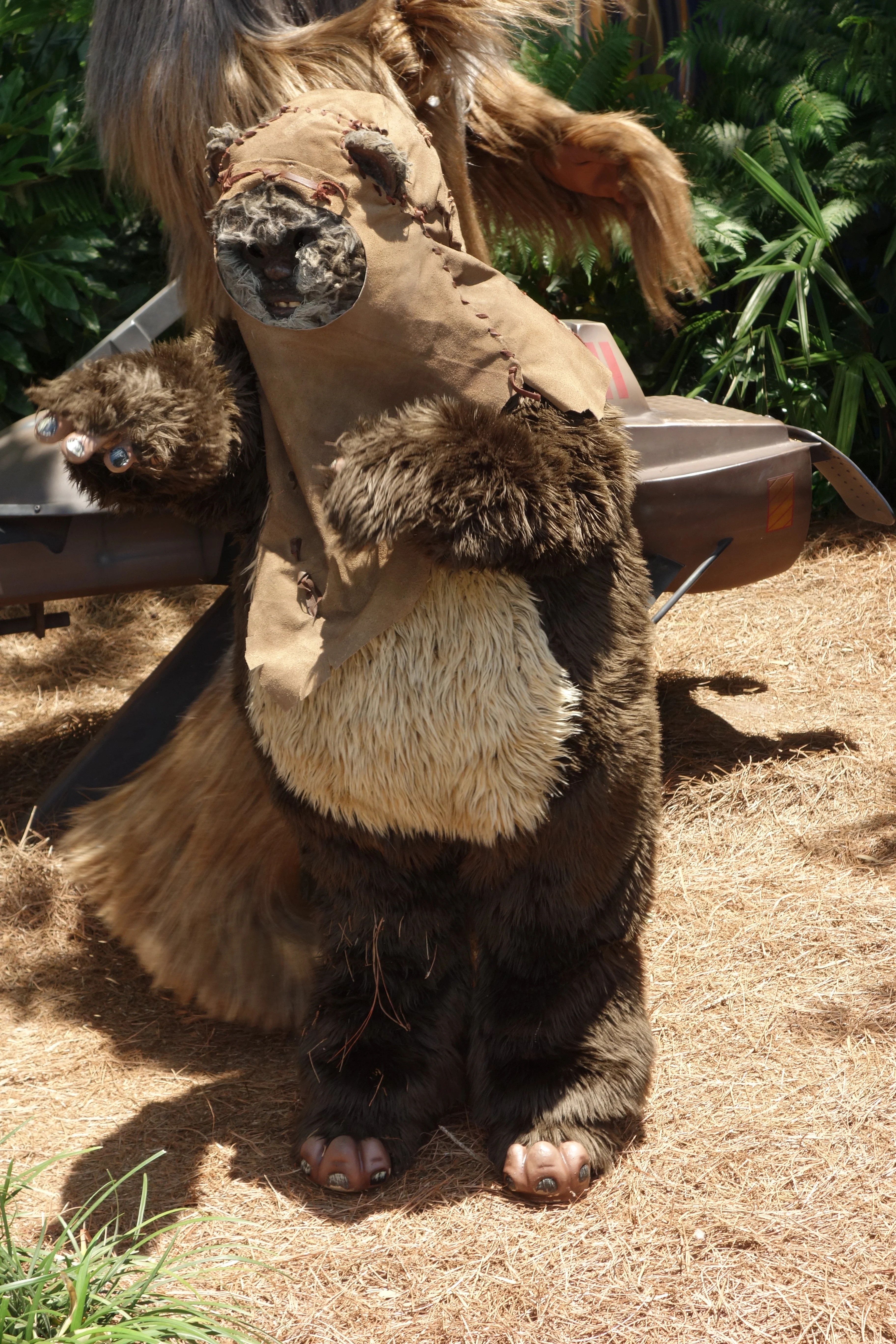 Ewok Wicket Star Wars Weekends 2013