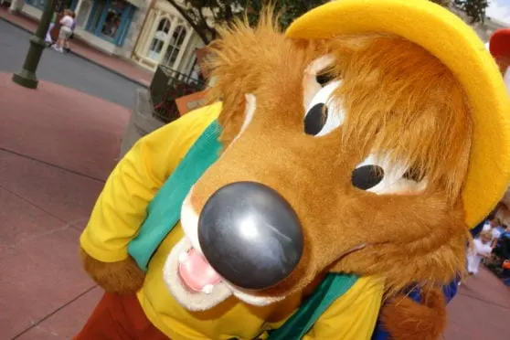 brer-fox-at-long-lost-friends-week-in-magic-kingdom-in-walt-disney-world
