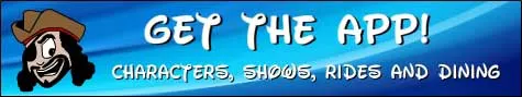 app banner wide