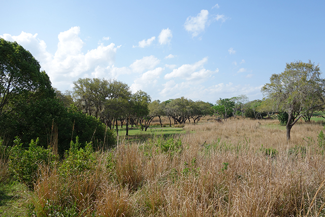 Senses of Africa tour at Disney's Animal Kingdom Lodge