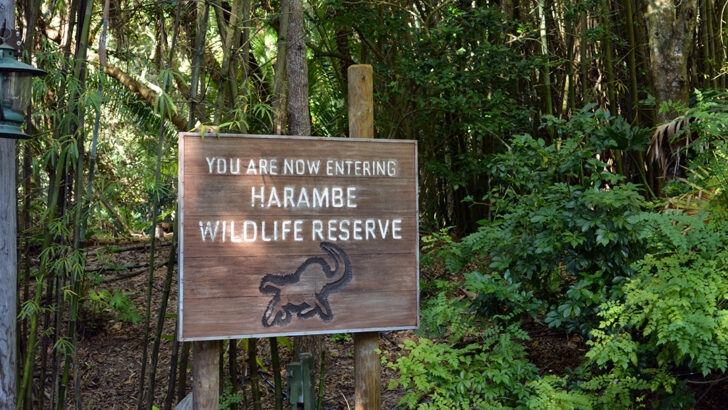 Details for Kilimanjaro Safaris after dark